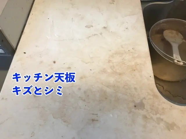 【入退去清掃】水アカ、カビも徹底除去で新入居者さんも満足のプロの清掃サービスの画像