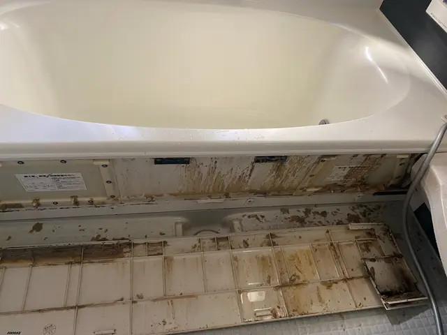 カビ、水垢、石鹸カスなど徹底的に落とします★防カビコートサービス致します★サービスの画像