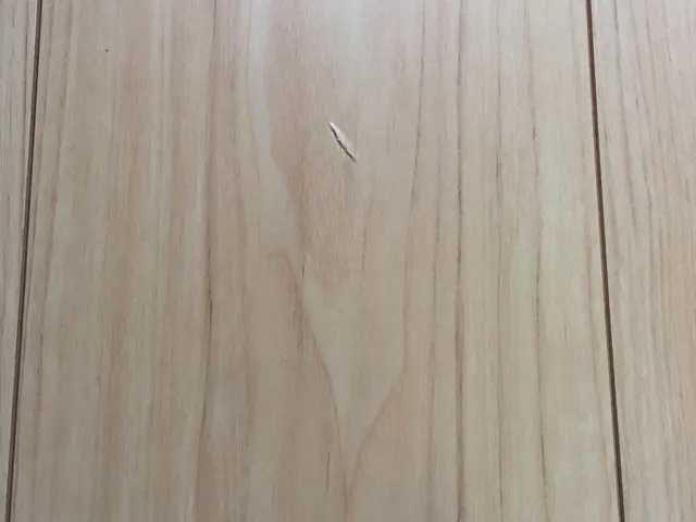 ◉補修専門店◉色々なプランもご用意しておりますので、お気軽にご相談下さい。サービスの画像