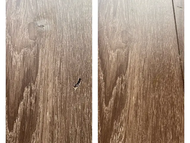 ◉補修専門店◉色々なプランもご用意しておりますので、お気軽にご相談下さい。サービスの画像