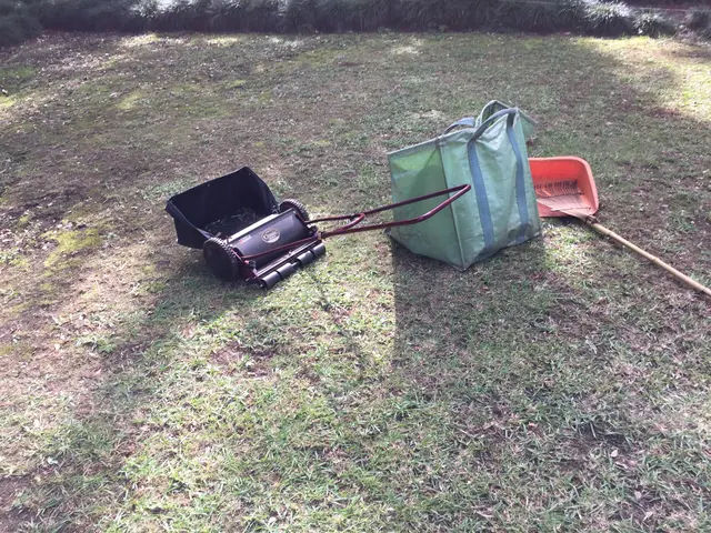 いつもありがとうございます！草刈り・除草のご依頼を喜んで賜ります！サービスの画像