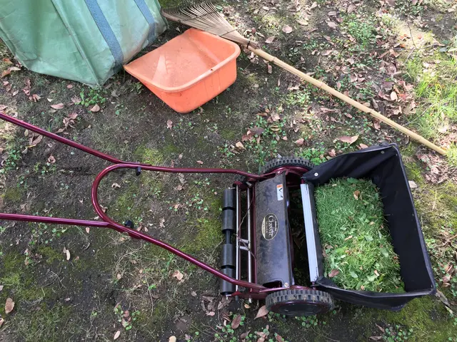 いつもありがとうございます！草刈り・除草のご依頼を喜んで賜ります！サービスの画像