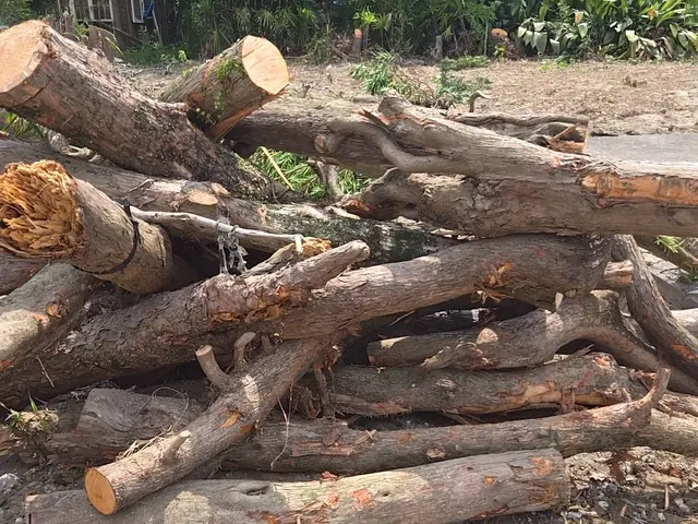 業界歴10年！親切丁寧に対応◎お気軽にご相談ください！サービスの画像