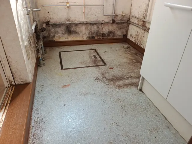 《1日1件丁寧施工》汚れもしっかり落としてスッキリ！嬉しい声をたくさん頂いてますサービスの画像