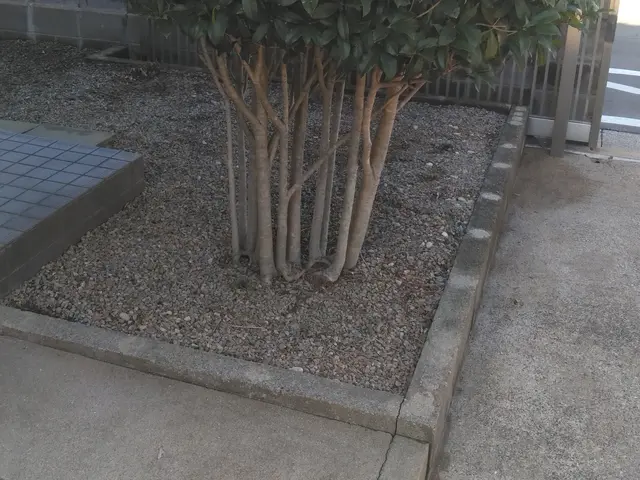 プロの技術でご満足いただけるように心を込めて作業いたしますサービスの画像