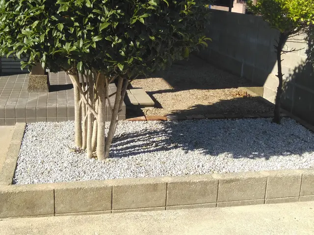 プロの技術でご満足いただけるように心を込めて作業いたしますサービスの画像