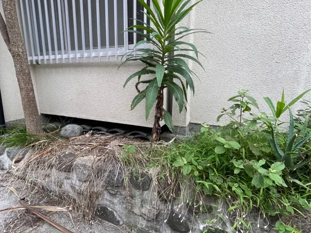 ●作業後の追加料金など一切発生しません！●お客様に寄り添った接客を＾＾サービスの画像