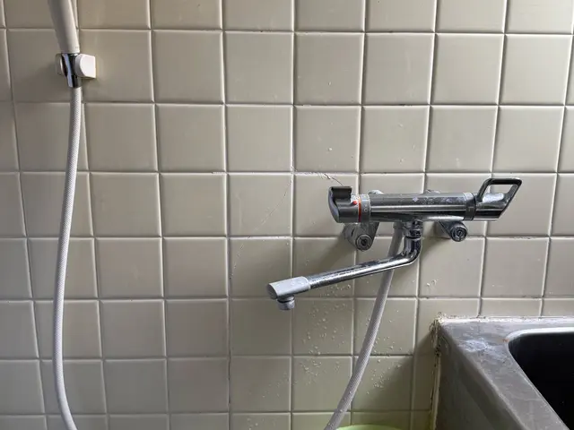 水栓からの水漏れなどで壊れてるものを新しい物に交換します。サービスの画像