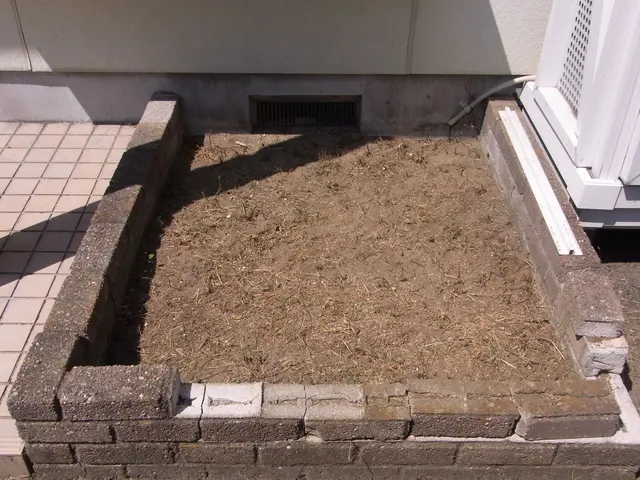 ★★11月中に除草作業をお申し込み頂ければ除草剤無料散布いたします★★サービスの画像