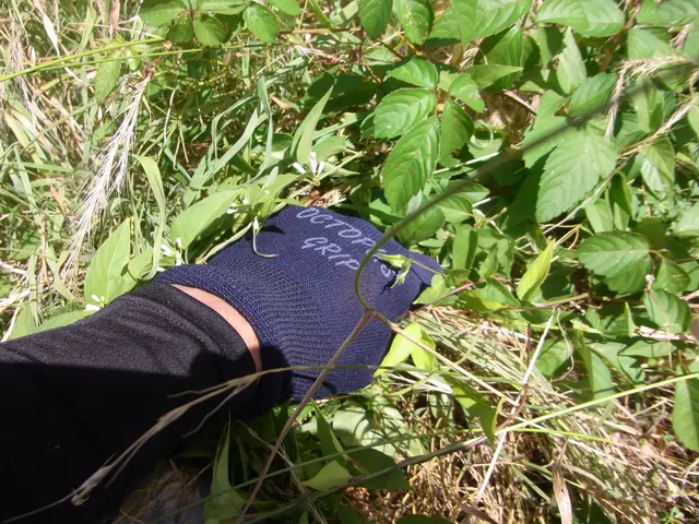 ★★11月中に除草作業をお申し込み頂ければ除草剤無料散布いたします★★サービスの画像