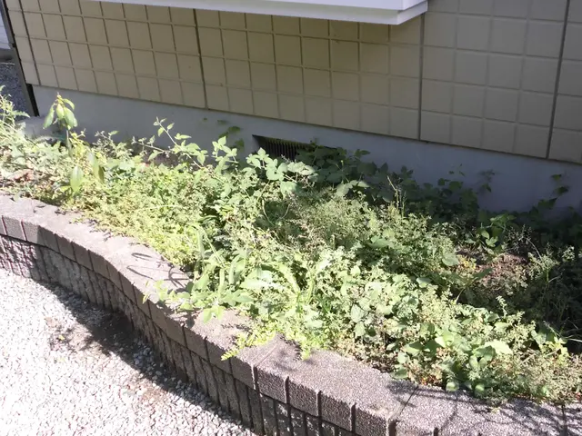 ご満足いただけるように心を込めて作業いたします！サービスの画像