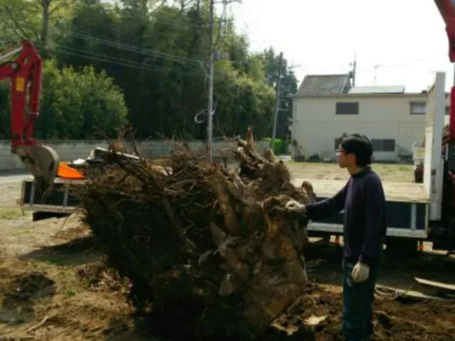 伐採おまかせ下さい！サービスの画像
