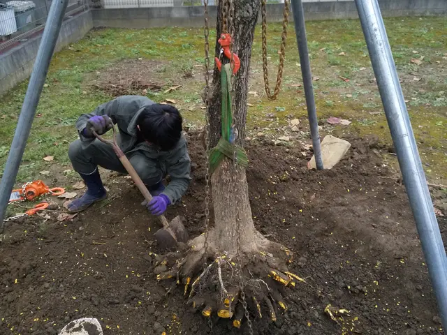 伐採おまかせ下さい！サービスの画像