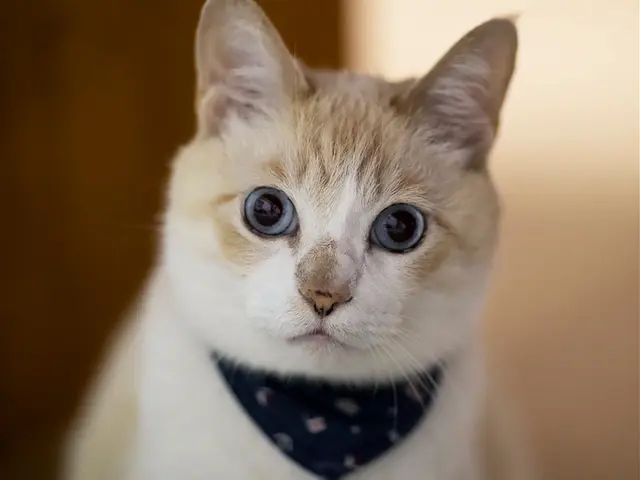 【41年の経験】出張撮影いたします、ご自宅の近くのお好きな場所で撮影いたします。