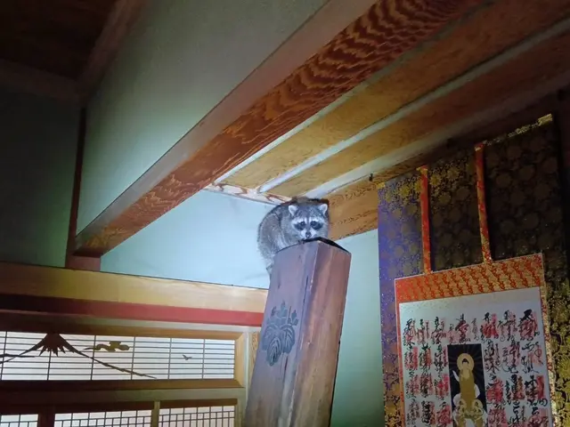 【中型害獣駆除の匠】駆除後も安心のサポートあり◎職人がお伺いします。サービスの画像