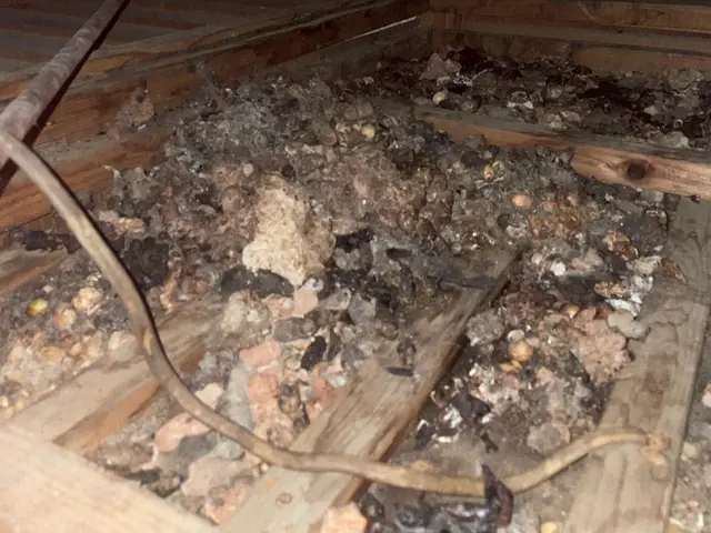 【中型害獣駆除の匠】駆除後も安心のサポートあり◎職人がお伺いします。サービスの画像