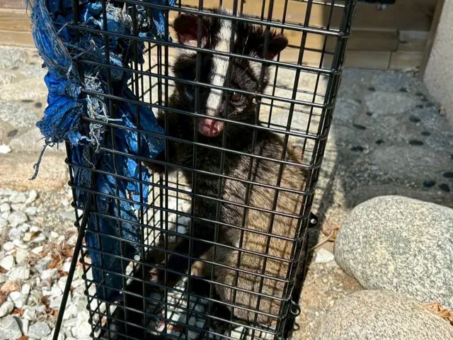 【中型害獣駆除の匠】駆除後も安心のサポートあり◎職人がお伺いします。サービスの画像