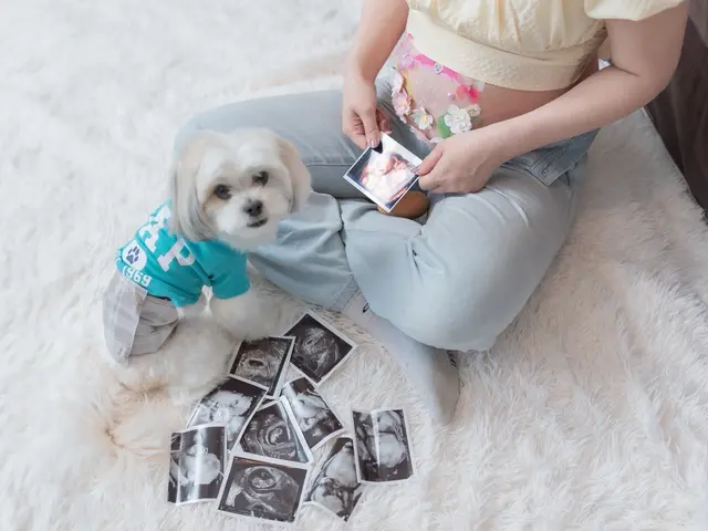 保育士経験7年の私による心温まる世界に一つだけのオリジナルペイントで安産祈願