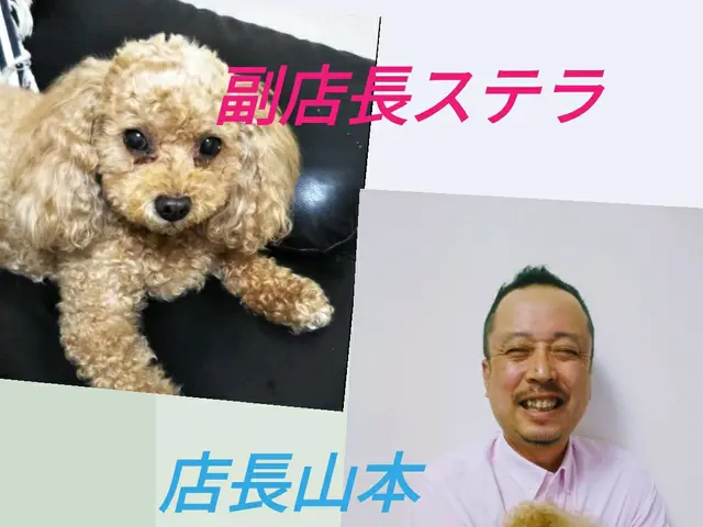 ■■■■早期割り引き中です■■■■■■サービスの画像