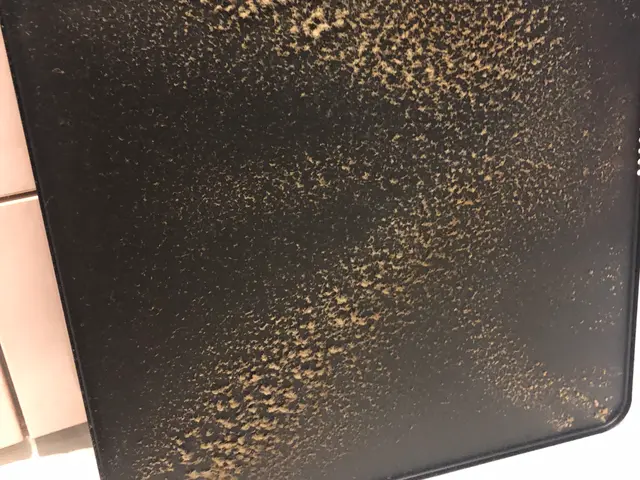 ★☆プロの女性スタッフに「コロナ対策：マスク着用」クリーニングお任せ下さい。サービスの画像