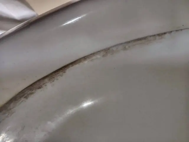 空き室クリーニング！！サービスの画像