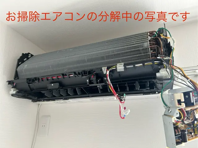 カビを撃退で、清らかな空間はいかがですか？【消臭、防カビコートサービス】サービスの画像