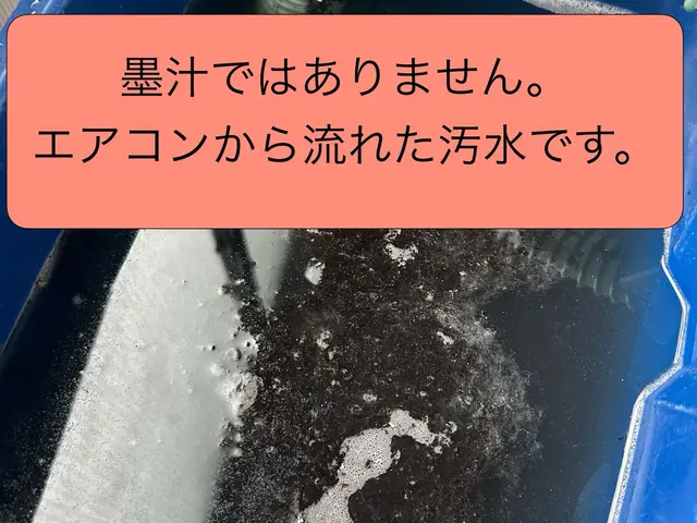 カビを撃退で、清らかな空間はいかがですか？【消臭、防カビコートサービス】サービスの画像