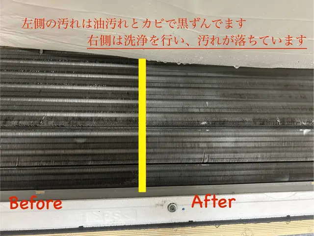 カビを撃退で、清らかな空間はいかがですか？【消臭、防カビコートサービス】サービスの画像