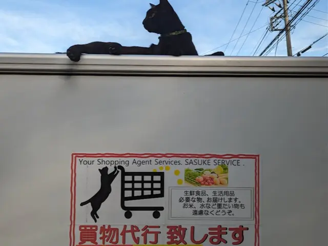 最短即日対応！冷蔵・冷凍品も安心の買い物代行サービス！、サービスの画像