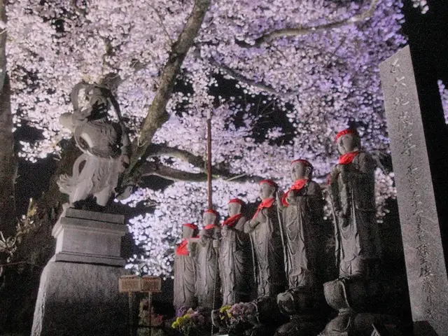 あなたの「ご供養をしてあげたい」の気持ちに寄り添う住職経験13年の出張お坊さんサービスの画像