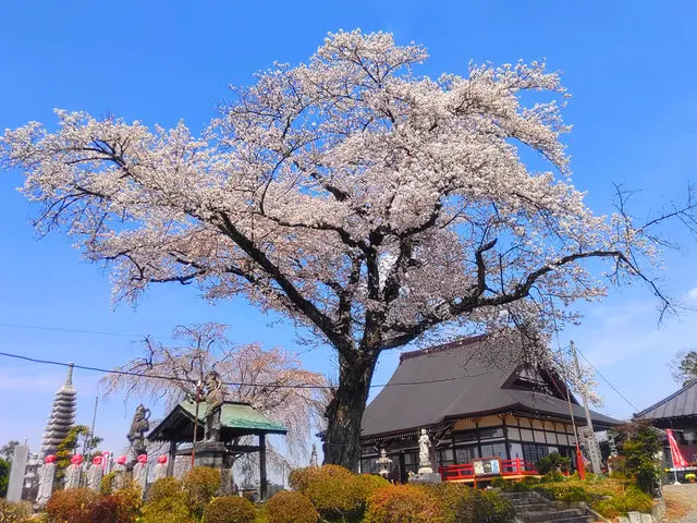 あなたの「ご供養をしてあげたい」の気持ちに寄り添う住職経験13年の出張お坊さんサービスの画像