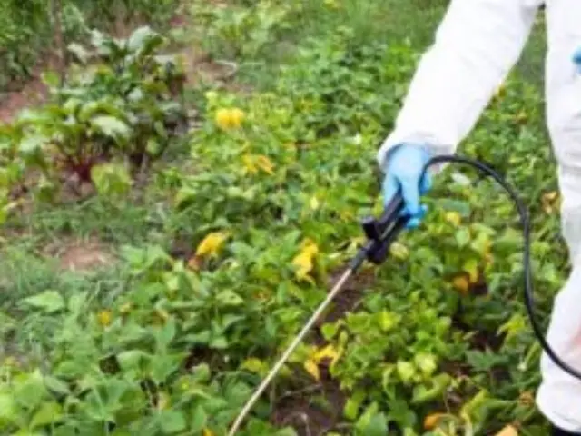 インボイス対応　すぐに行きます！駐車場　空き家管理におすすめ除草剤を使った草取サービスの画像