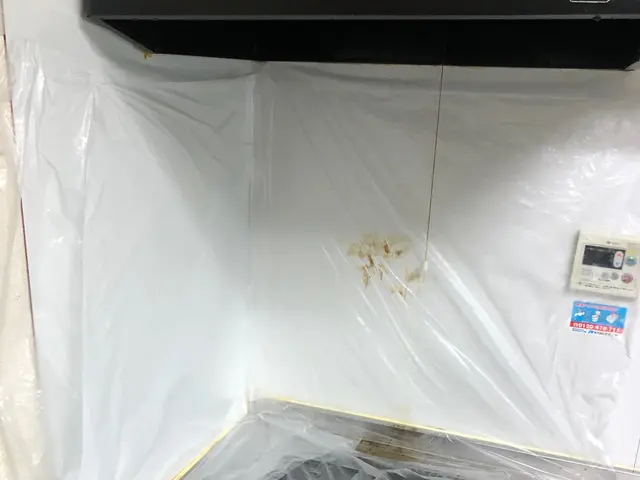 《損害保険加入済み◎》どんなに汚れていても追加料金無し！隅々まで丁寧に清掃しますサービスの画像