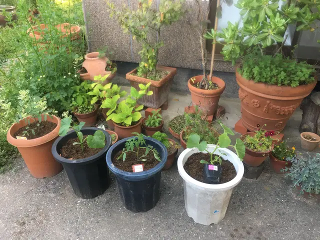 『2級造園施工管理技士』を持った造園のプロが伺います！豊富な経験と知識で安心◎サービスの画像