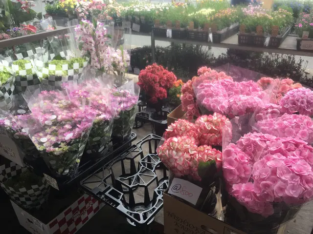 『2級造園施工管理技士』を持った造園のプロが伺います！豊富な経験と知識で安心◎サービスの画像