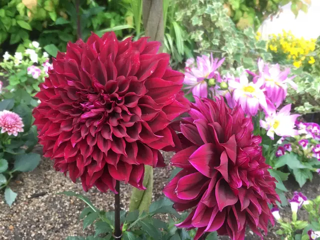 『2級造園施工管理技士』を持った造園のプロが伺います！豊富な経験と知識で安心◎サービスの画像