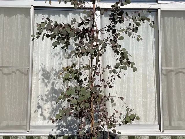 『2級造園施工管理技士』を持った造園のプロが伺います！豊富な経験と知識で安心◎サービスの画像