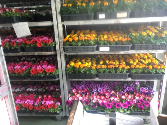 『2級造園施工管理技士』を持った造園のプロが伺います！豊富な経験と知識で安心◎サービスの画像