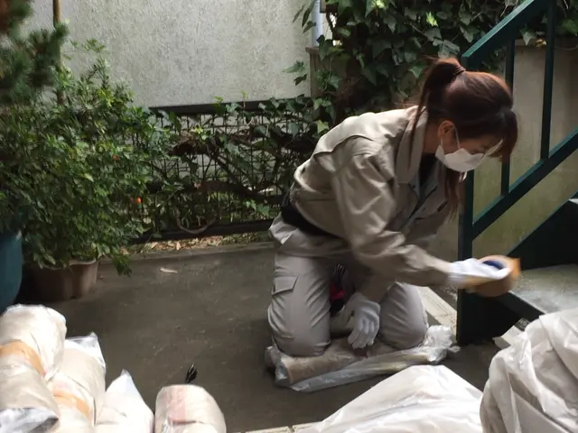 口コミ多数！ハクビシン駆除業者は費用も安価のホームスターへ【関東全域】サービスの画像