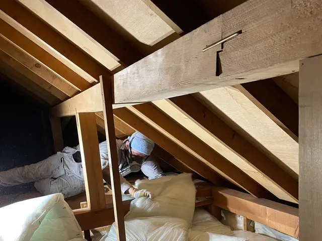 口コミ多数！ハクビシン駆除業者は費用も安価のホームスターへ【関東全域】サービスの画像