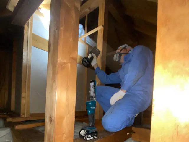 口コミ多数！ハクビシン駆除業者は費用も安価のホームスターへ【関東全域】サービスの画像