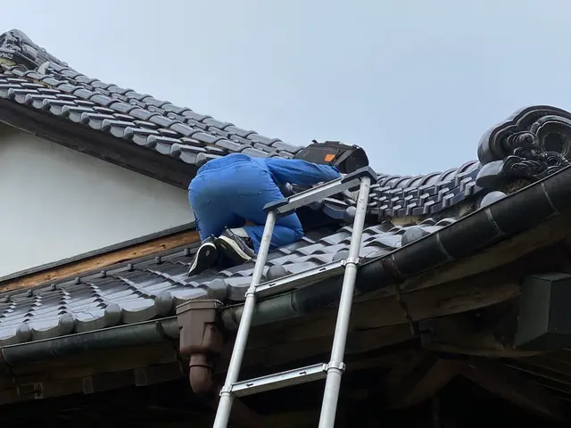 口コミ多数！ハクビシン駆除業者は費用も安価のホームスターへ【関東全域】サービスの画像