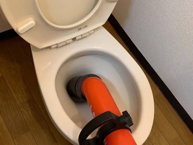 キャンペーン価格実施中！【PayPay支払可能】期間限定10月末までこのお値段！サービスの画像