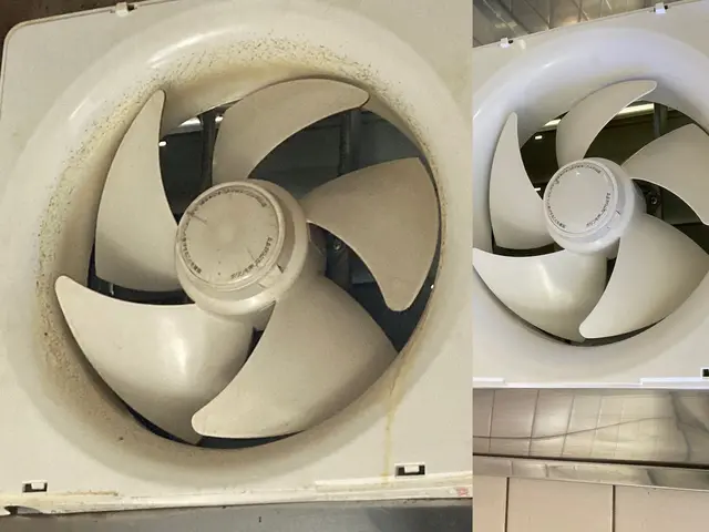 日本初！環境に優しいハウスクリーニング！もちろん身体にも！きれいごとできれいに。サービスの画像