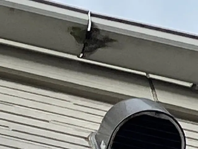 電気工事士資格を持つ店長が行う、24時間対応可能な雨樋掃除・修理サービス！サービスの画像