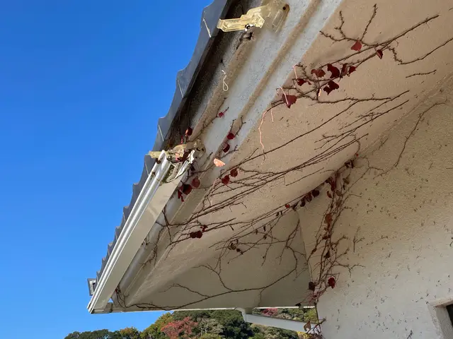 電気工事士資格を持つ店長が行う、24時間対応可能な雨樋掃除・修理サービス！サービスの画像