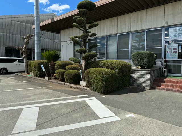 庭木の剪定/ゴミ回収費込みサービスの画像