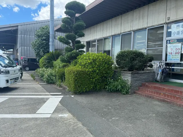 庭木の剪定/ゴミ回収費込みサービスの画像