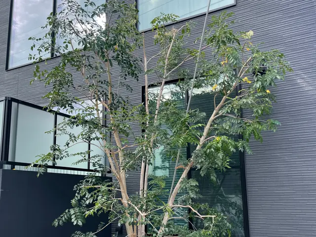 ※ゴミ回収費0円！サービスの画像