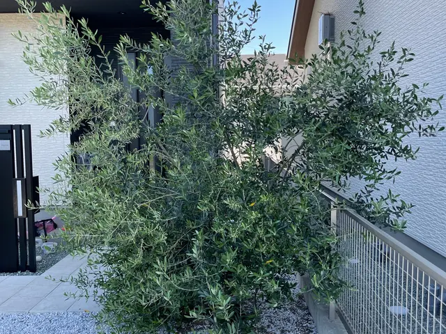 ※ゴミ回収費0円！サービスの画像